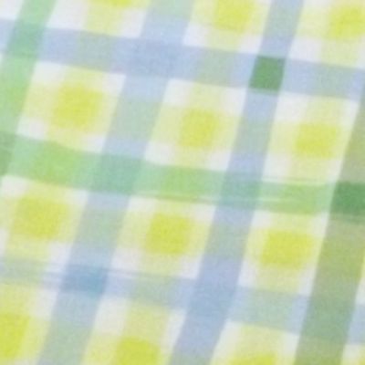 pastel blue plaid
