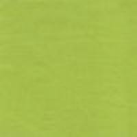 Spring green flannel