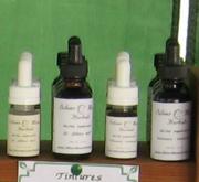 tincture group shot